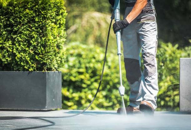 Best Roof Washing  in Cooperstown, NY